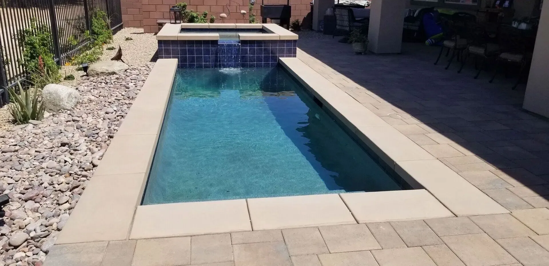 Shark Pools project 5