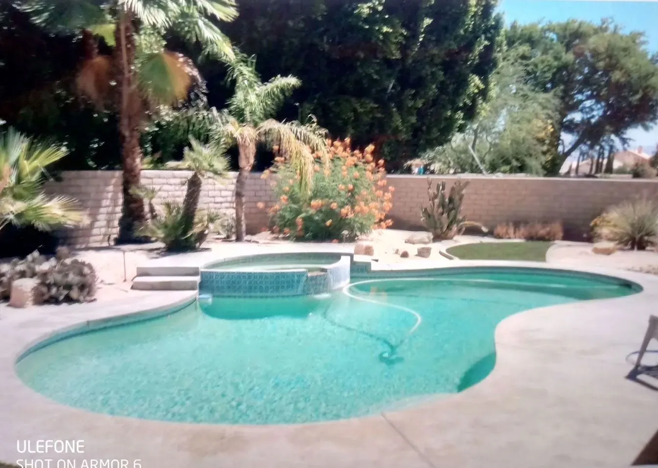 Shark Pools project 11
