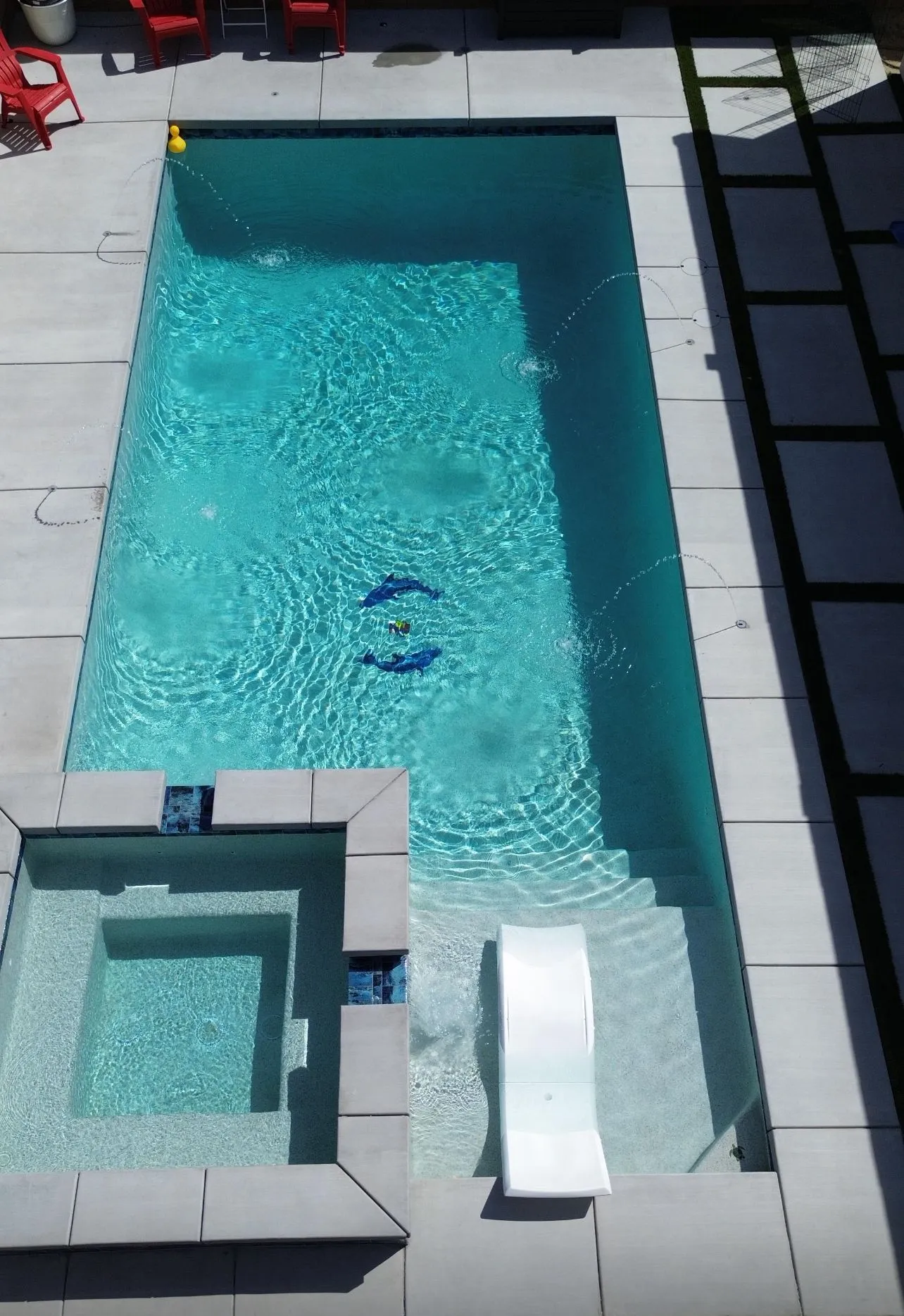 Shark Pools project 10