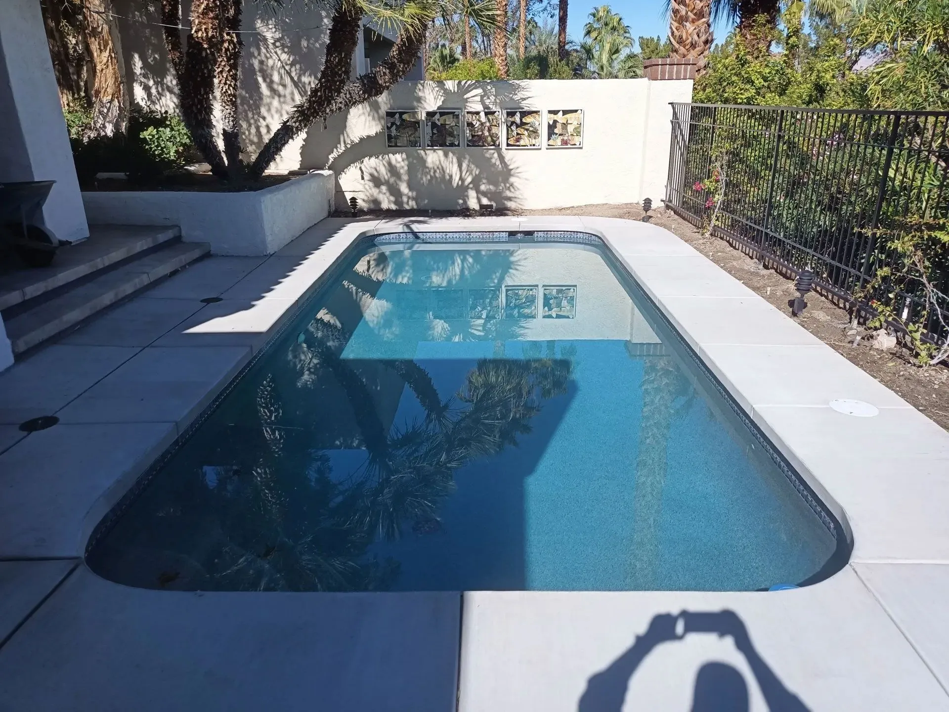 Shark Pools project 16