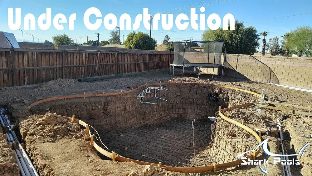 Transform Your Backyard with a Custom Pool from Shark Pools