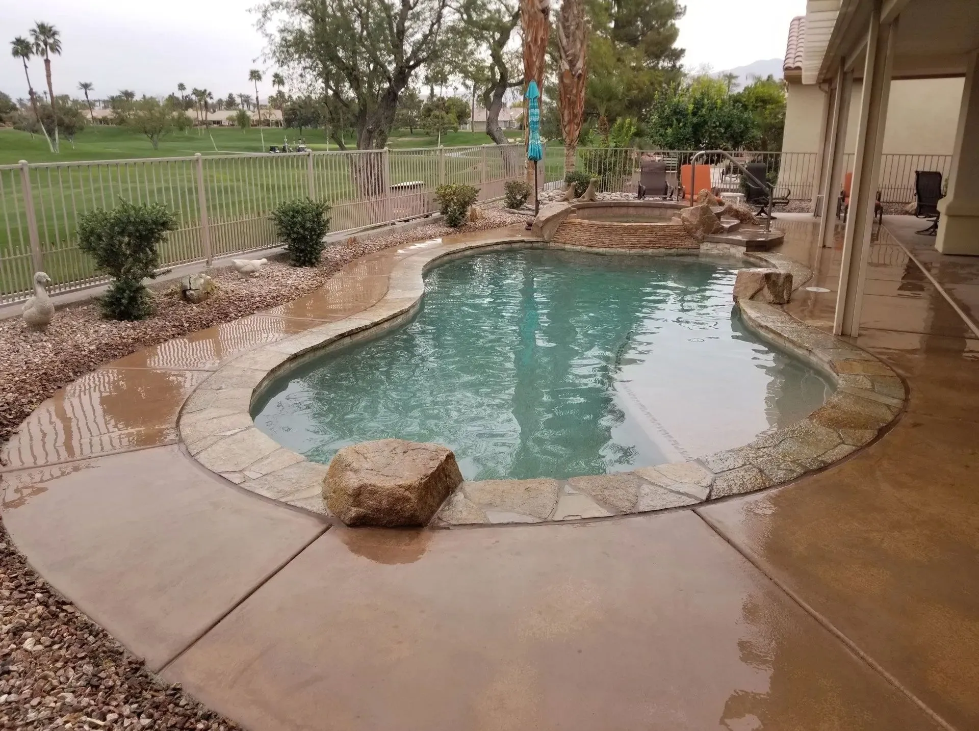 Shark Pools project 19