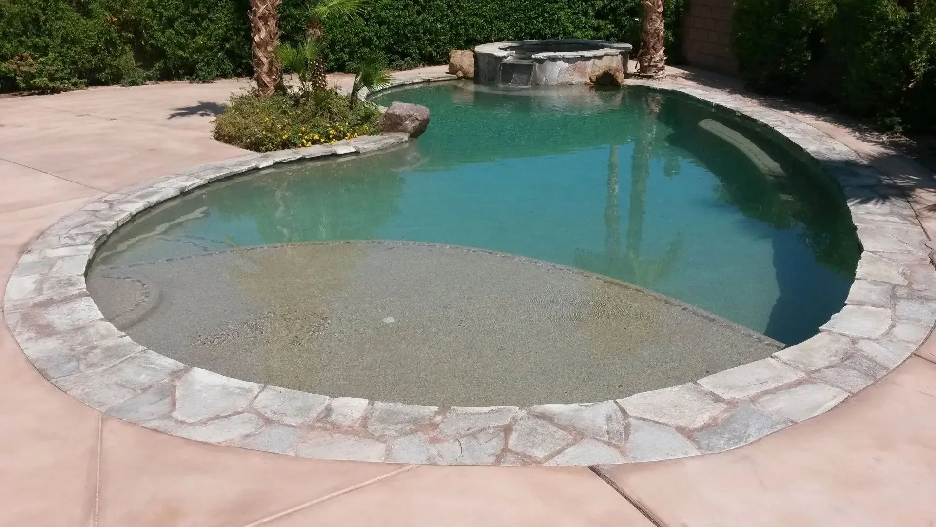 Shark Pools project 37