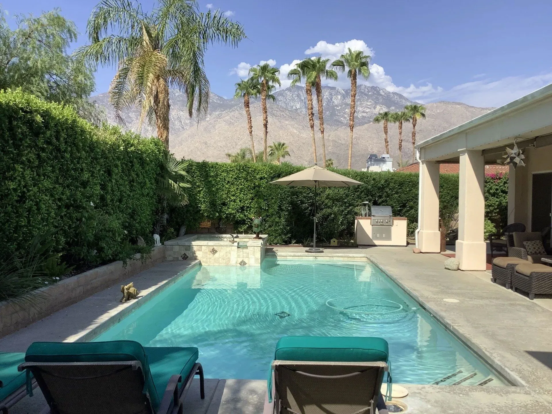 Shark Pools project 7